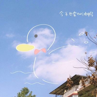 星空综合app官方版(中国)APP下载安装豪华版